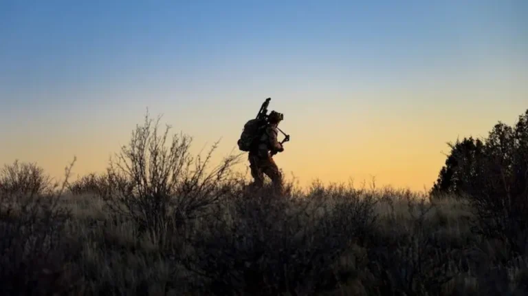 Endless engagement: intelligence failures and shifting priorities in U.S. foreign policy