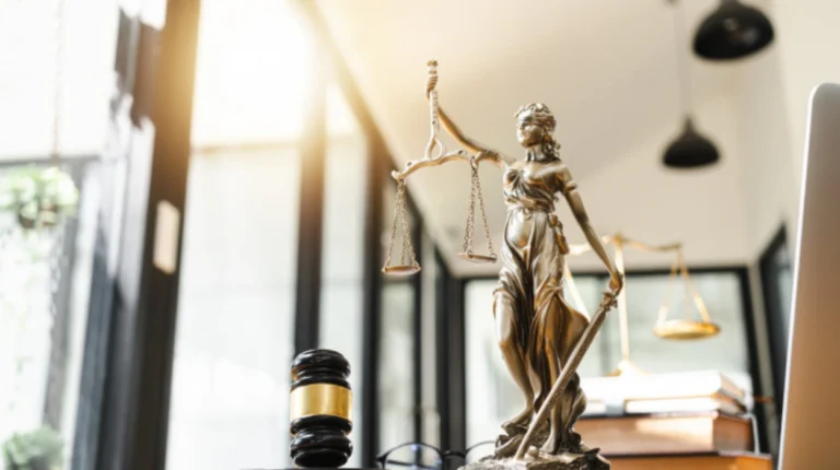 Accountability Gap Bridging the Divide Between International Law and State Action