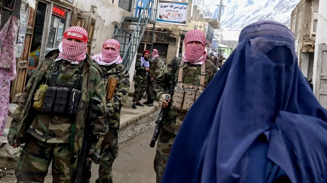 Afghanistan under Taliban rule Five years of collapse
